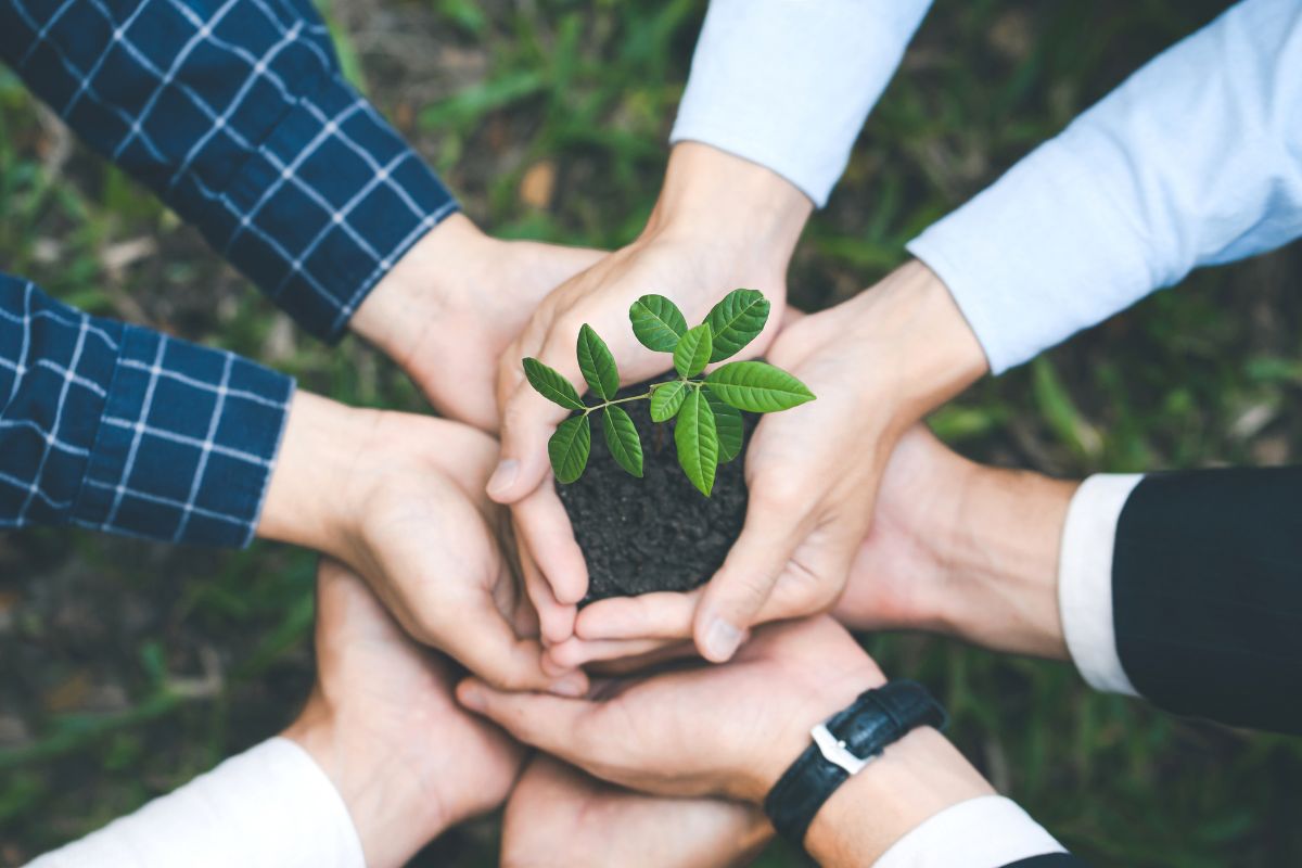 Comunità energetiche