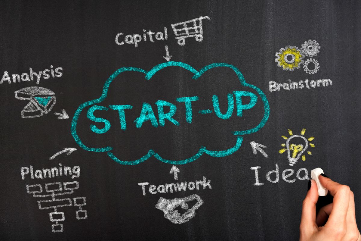 Fase di start up. Ricerche di mercato.